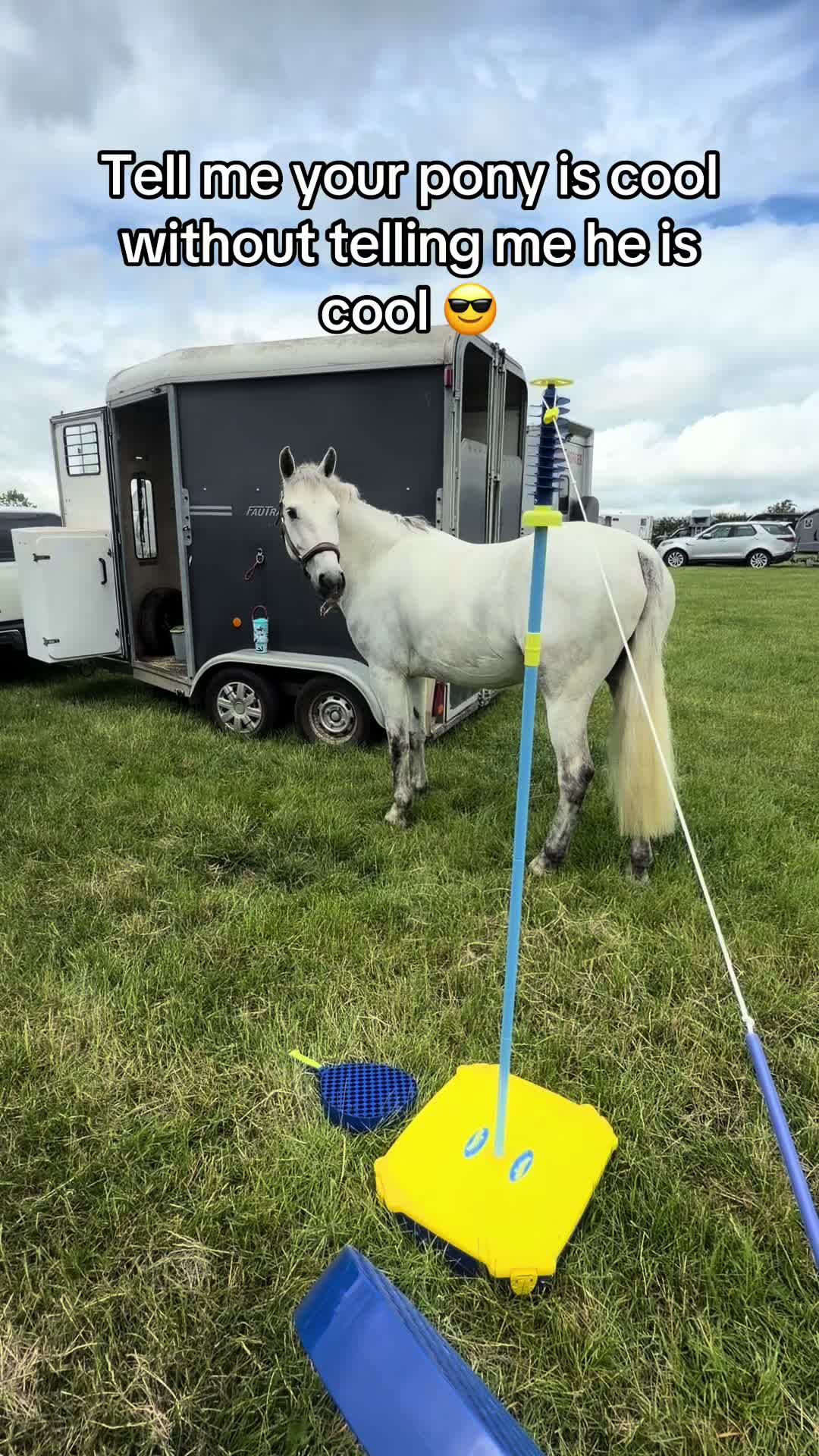 @Nina’s Pony Adventures ❤️
