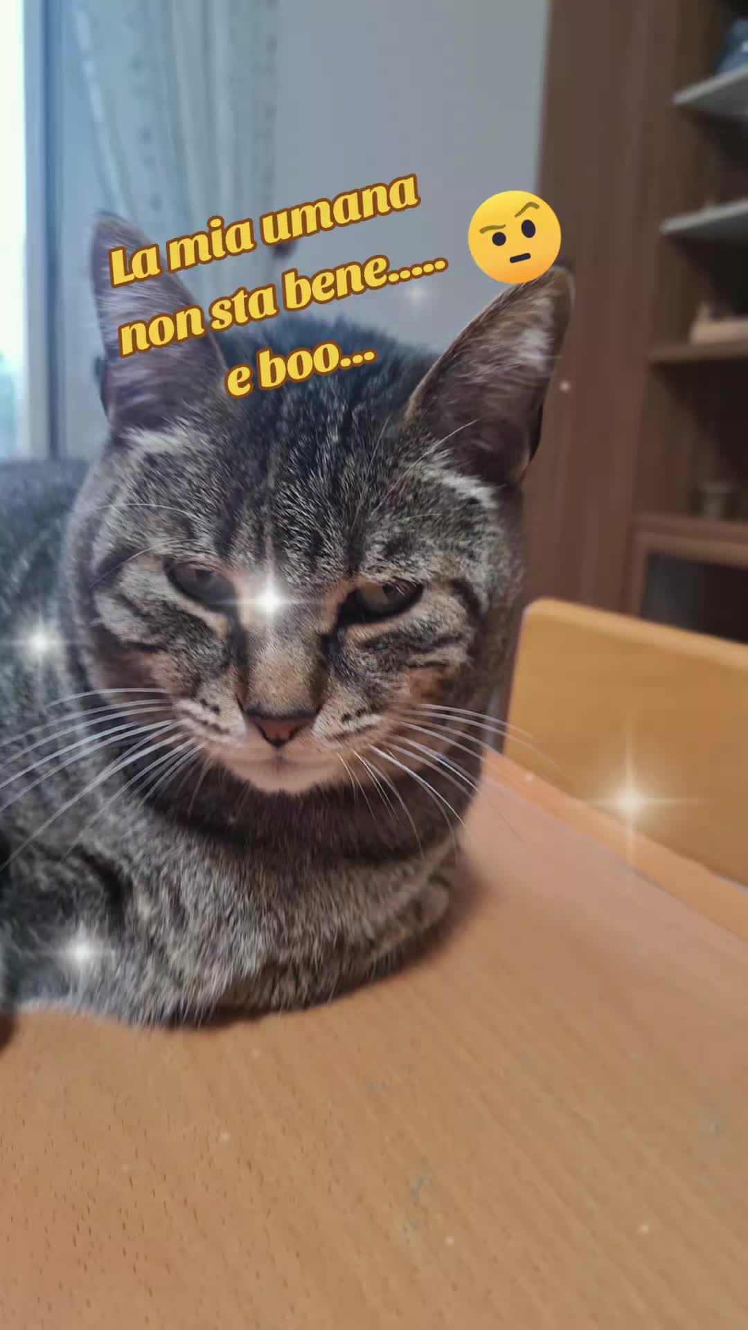 @💫⚘️Maria⚘️💫