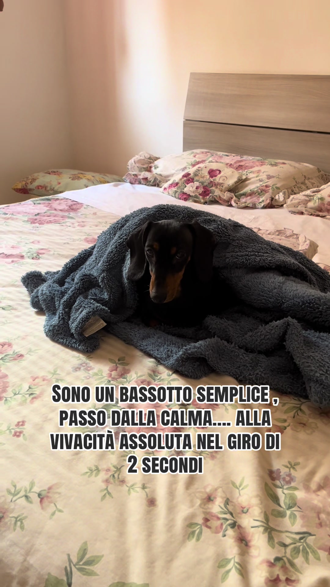 @Maria Santaniello❤️