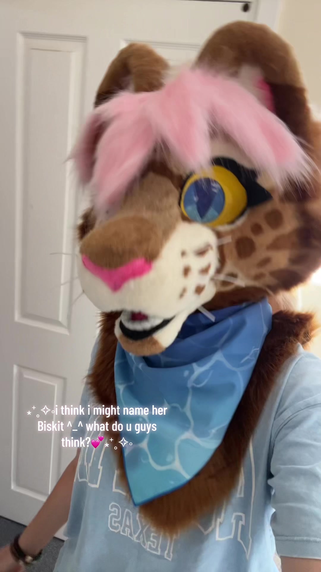 @Biskit!