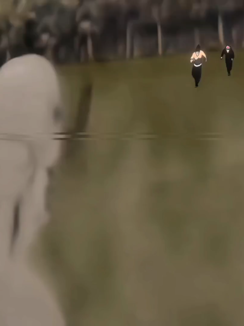 @𝐒𝐍𝐅𝐗