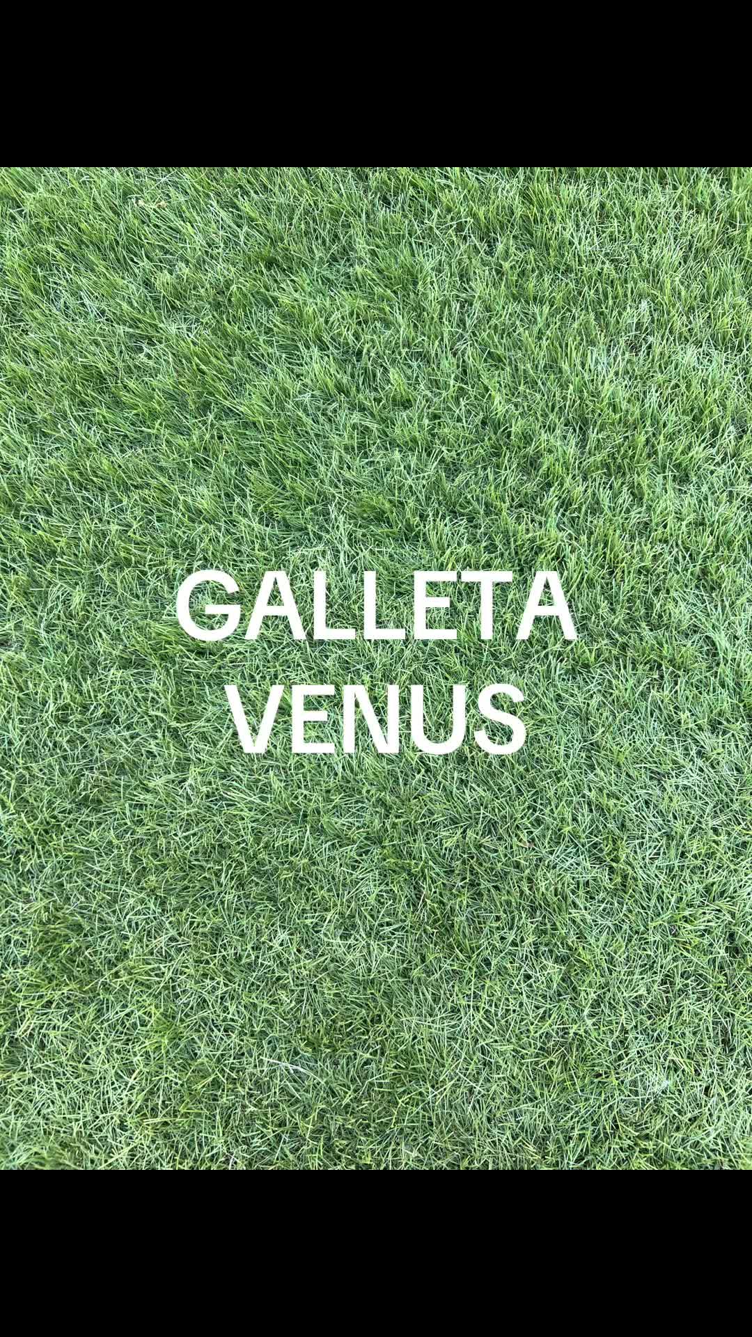 @CALI 🤍PICA