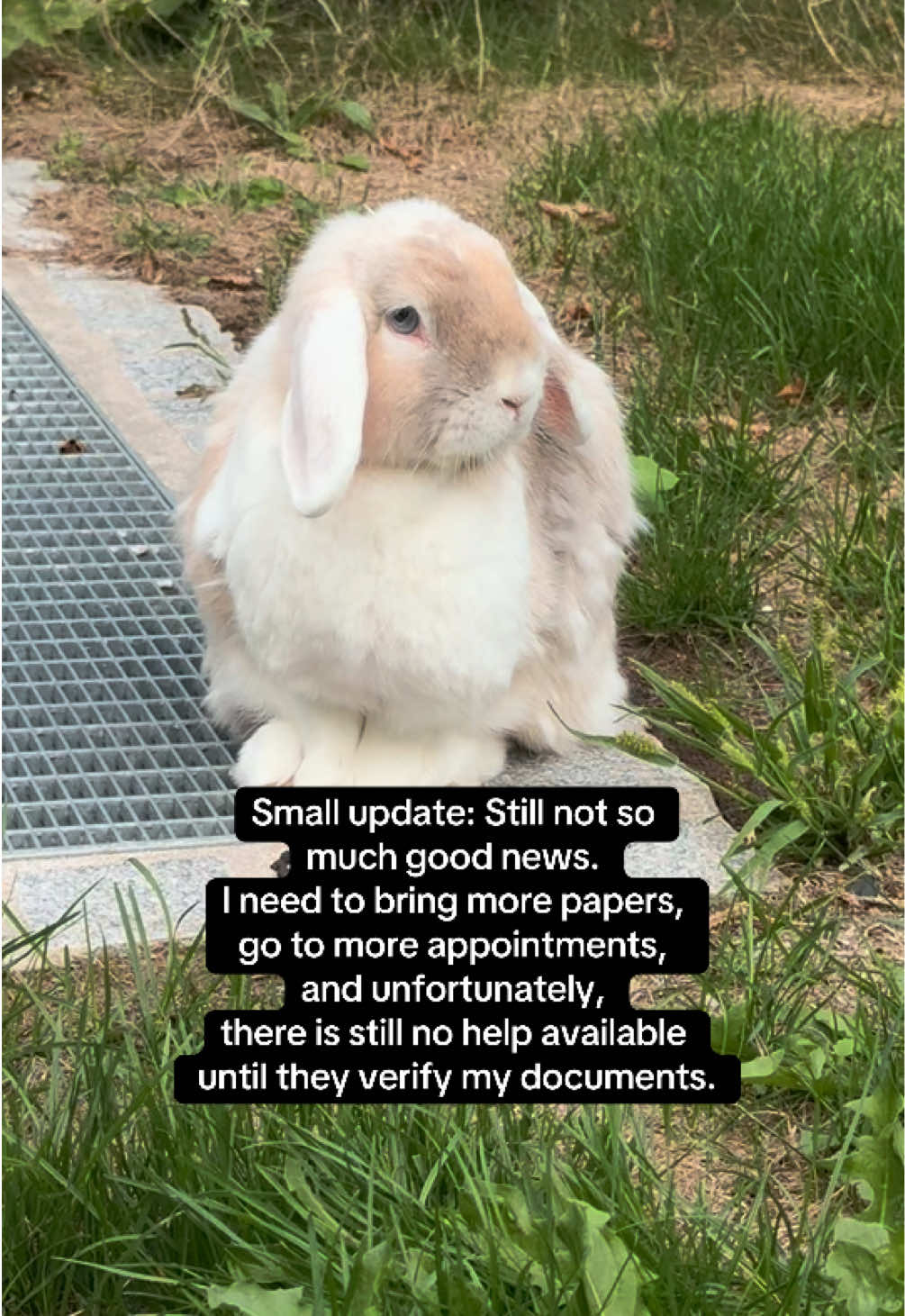 @Buns 🐰🐰
