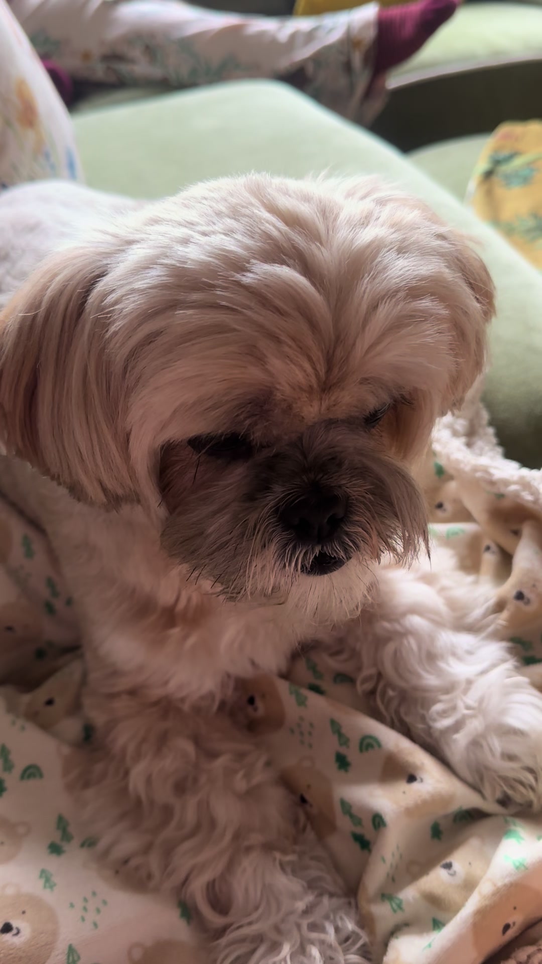 @🐾💕 Bessie Boo 💕🐾