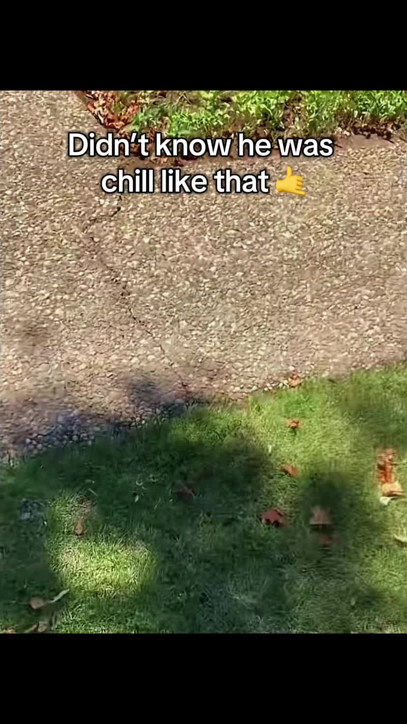 @Pbopi