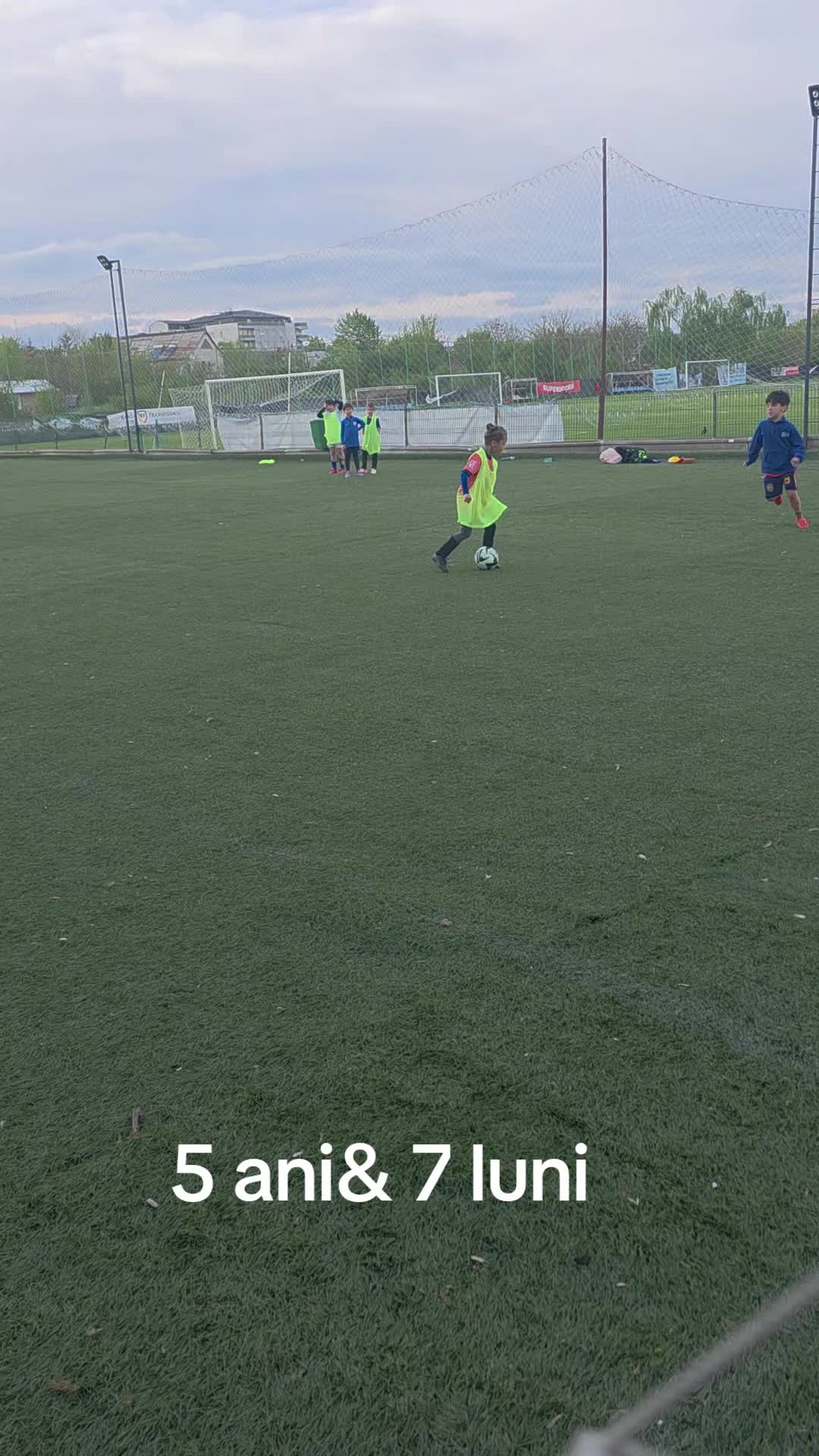 @Zian Leuţul Sudului