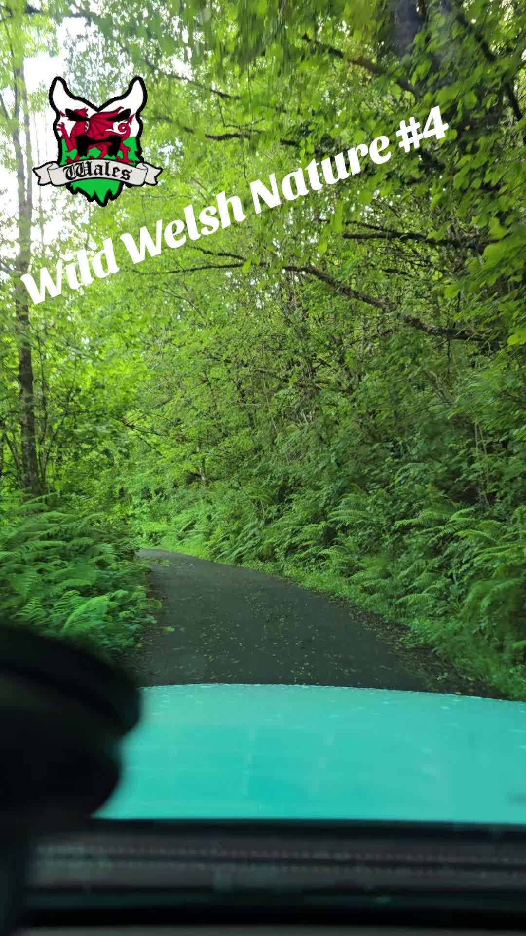 @mariuszmwm