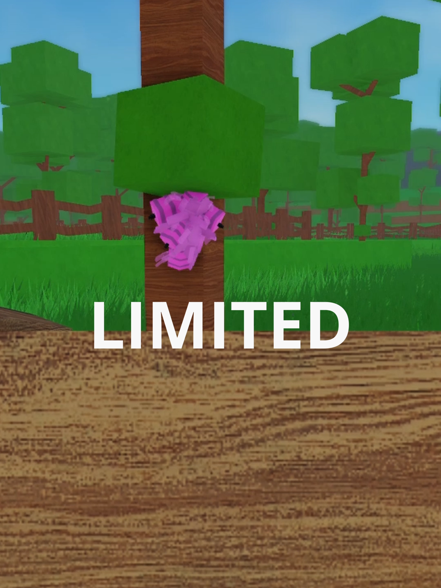 @Inversed
