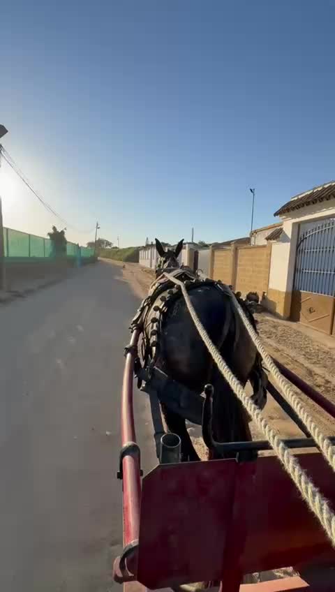 @Julio Ollero ramos