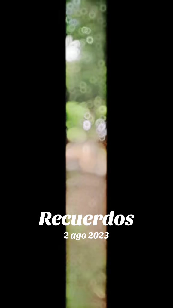 @guillen_503_sv 🇸🇻