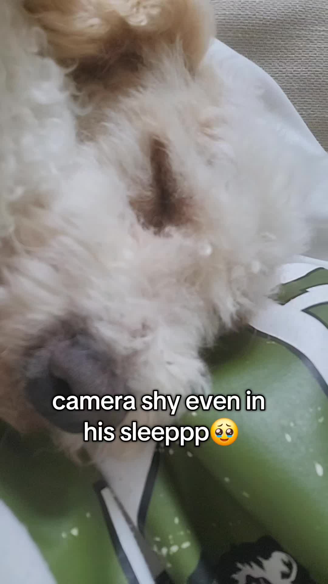 @๐ฏ๐ฆ๐ฉ๐ฃ๐๐ฒ๐ค๐¹โฐโฐโน