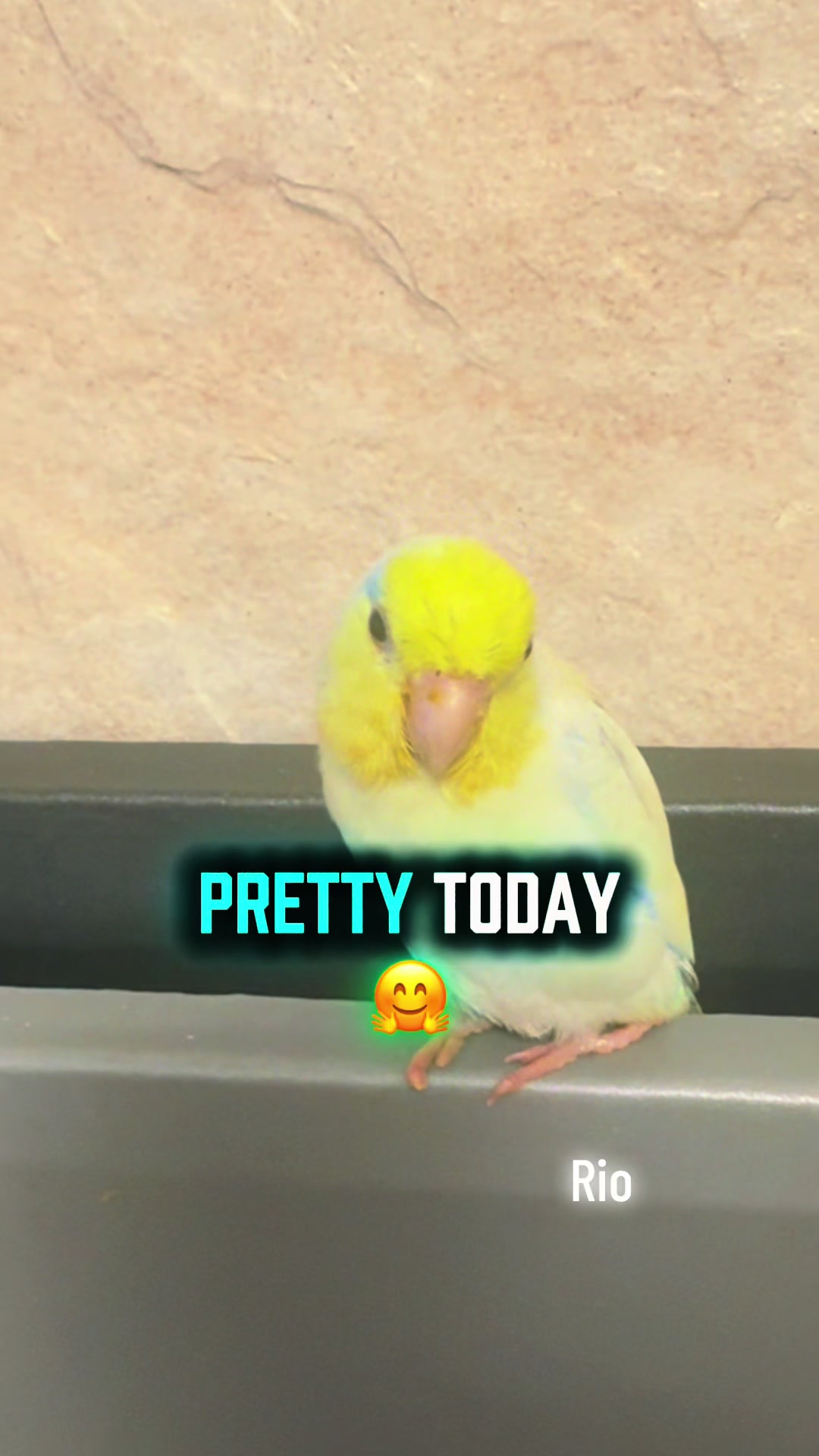 @💋