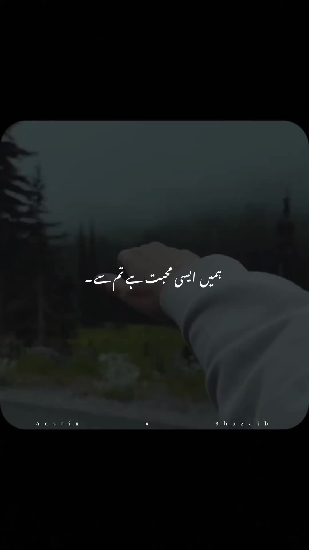 @Aestix x Shazaib