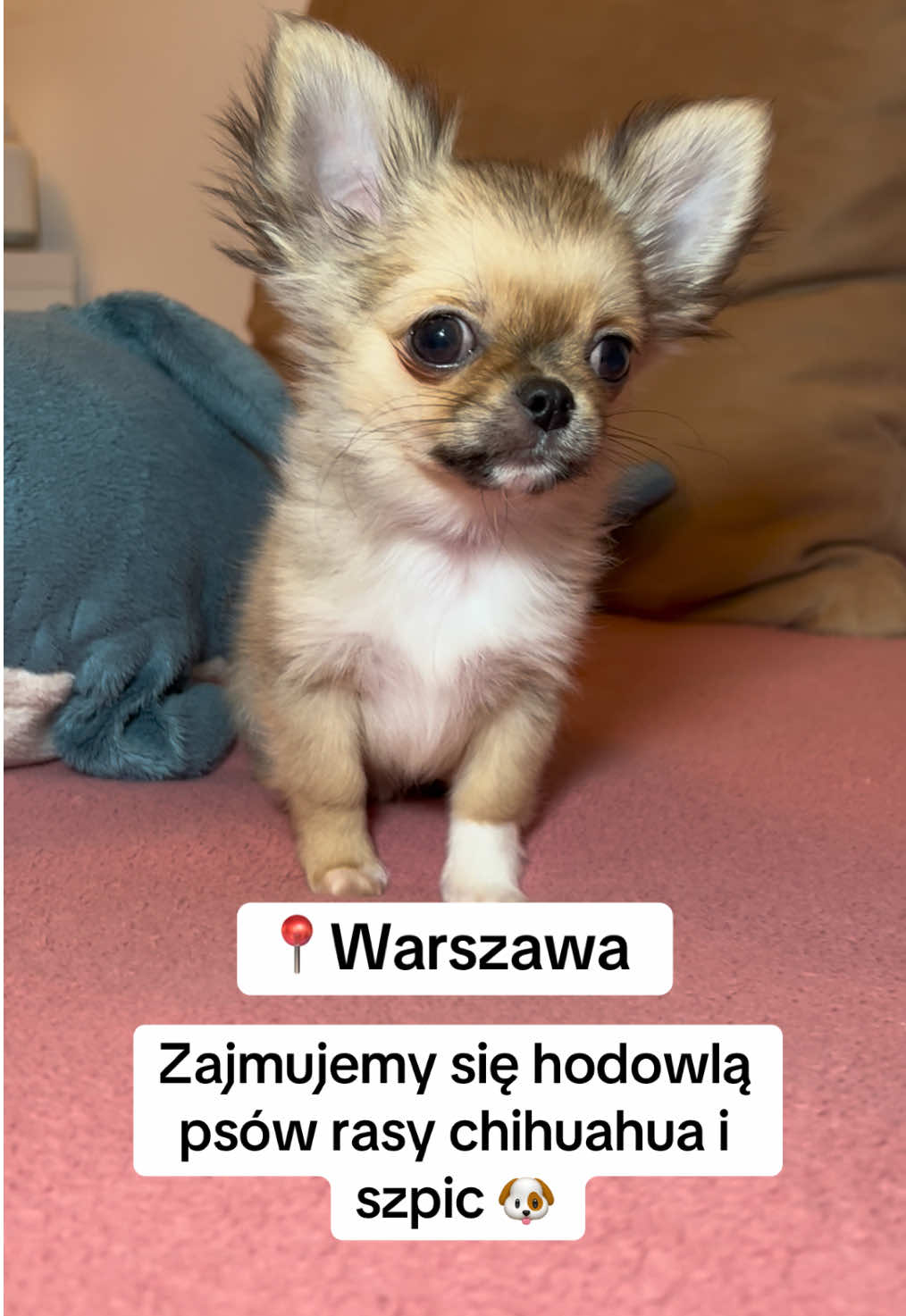 @Ulybki_lilu