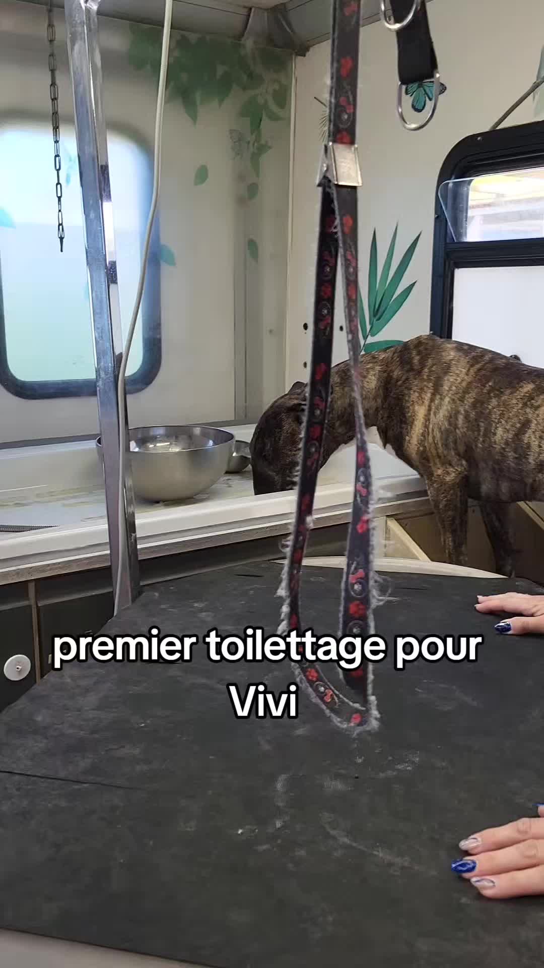 @La.petite.ferme