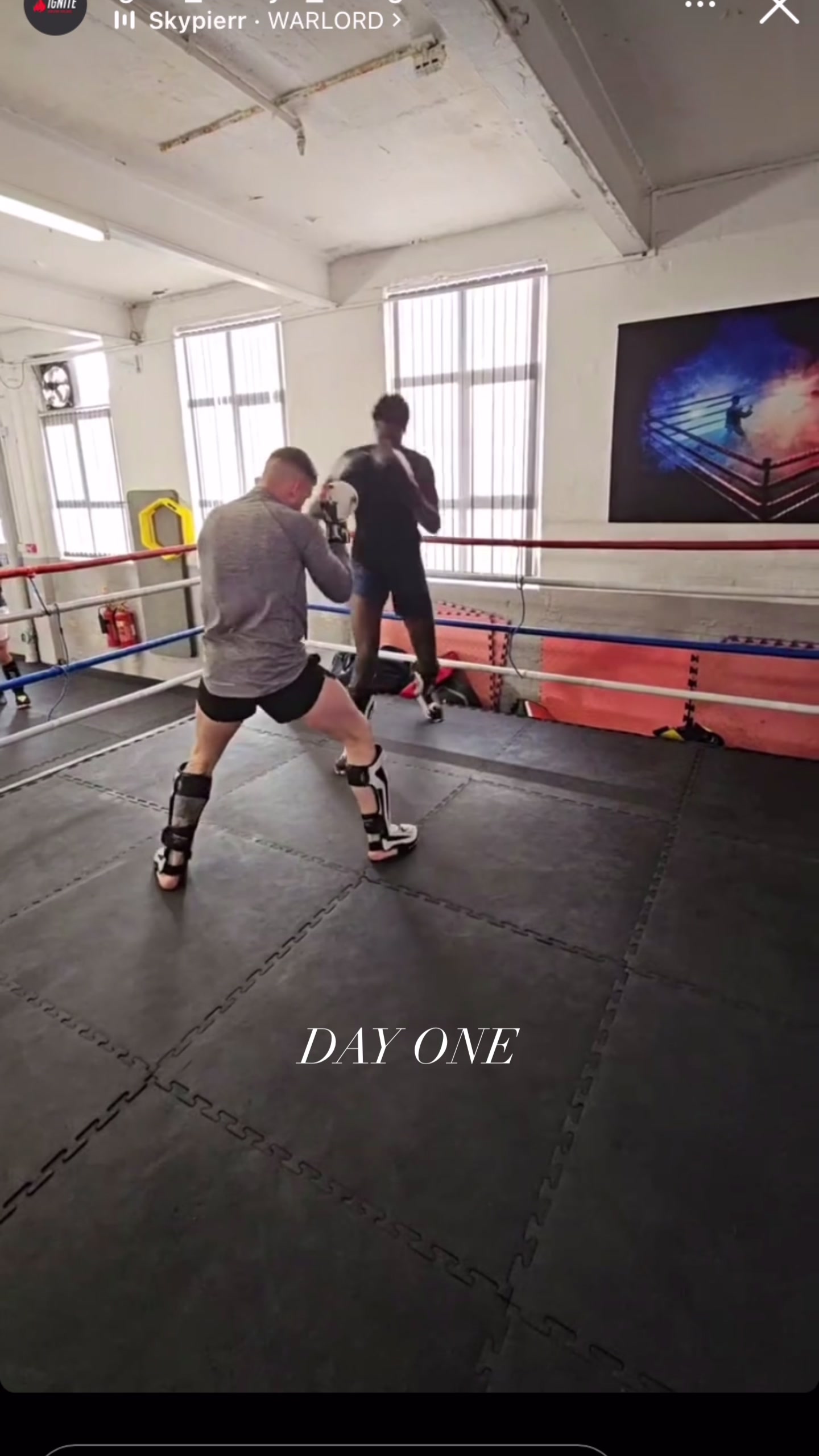 @edvainer84kg