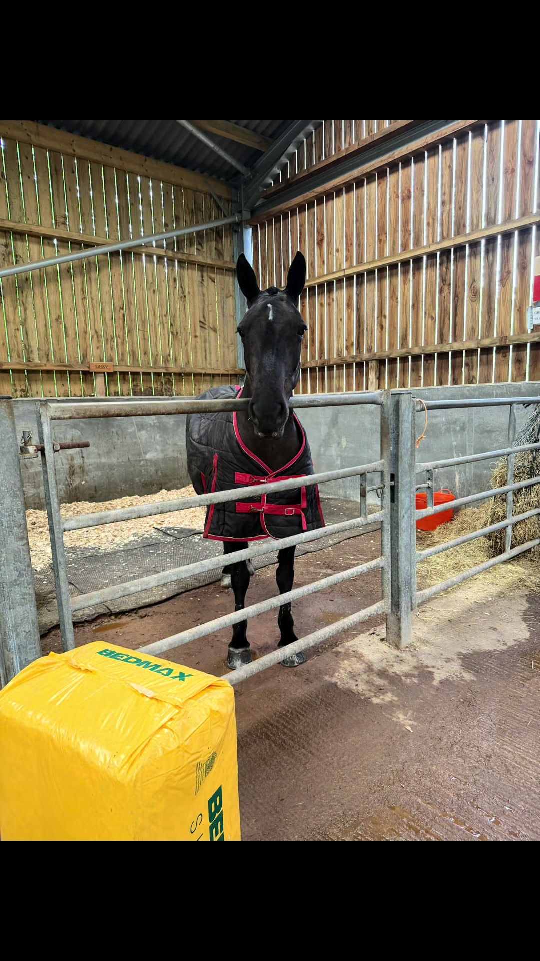 @Dartmoor Carriages
