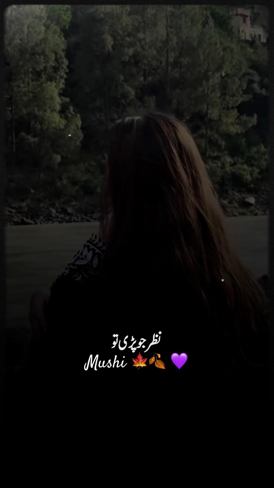 @Ayzal🍁Mushi