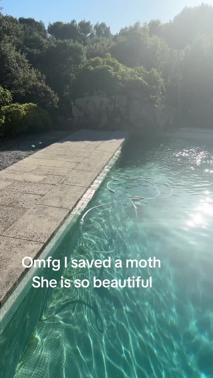 @happygoluckysasa