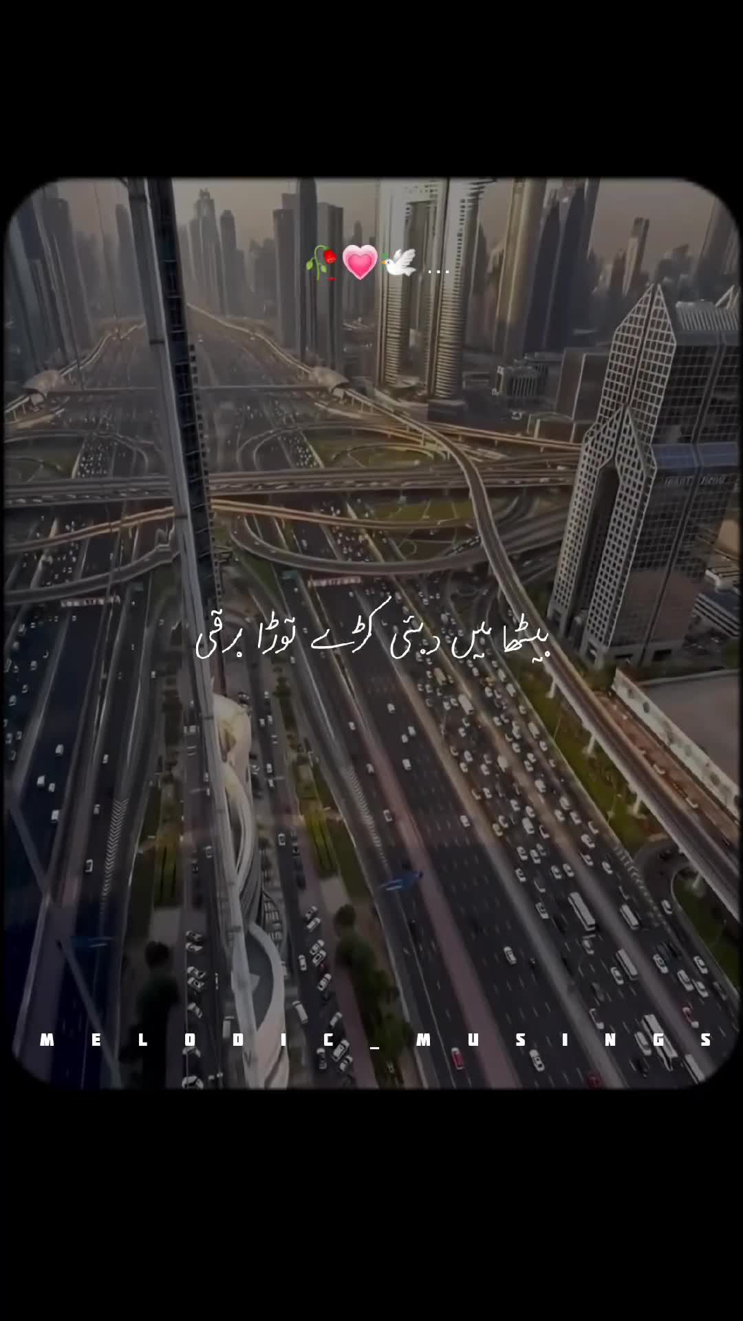@Melodic Musings🎧🥀
