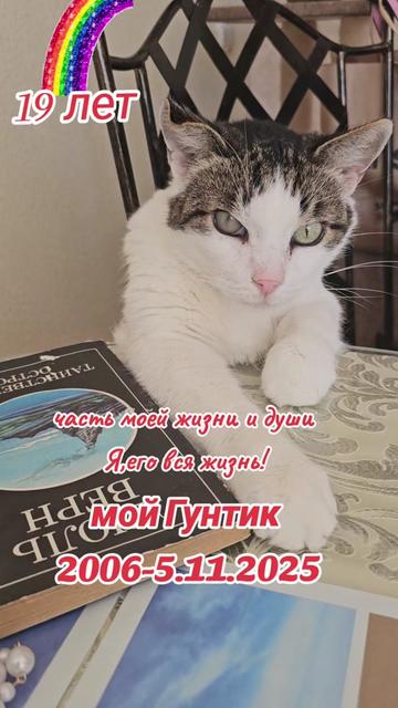 @Inga Lazdāne