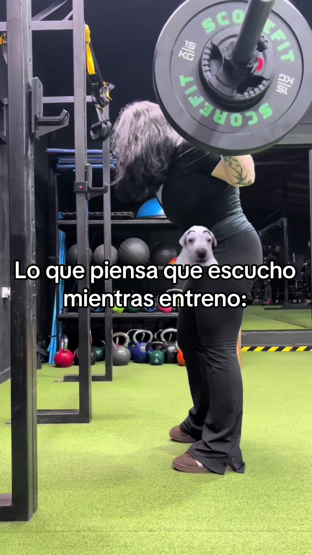 @Potito