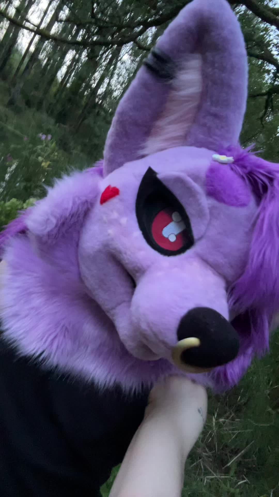 @Felxx! ๐