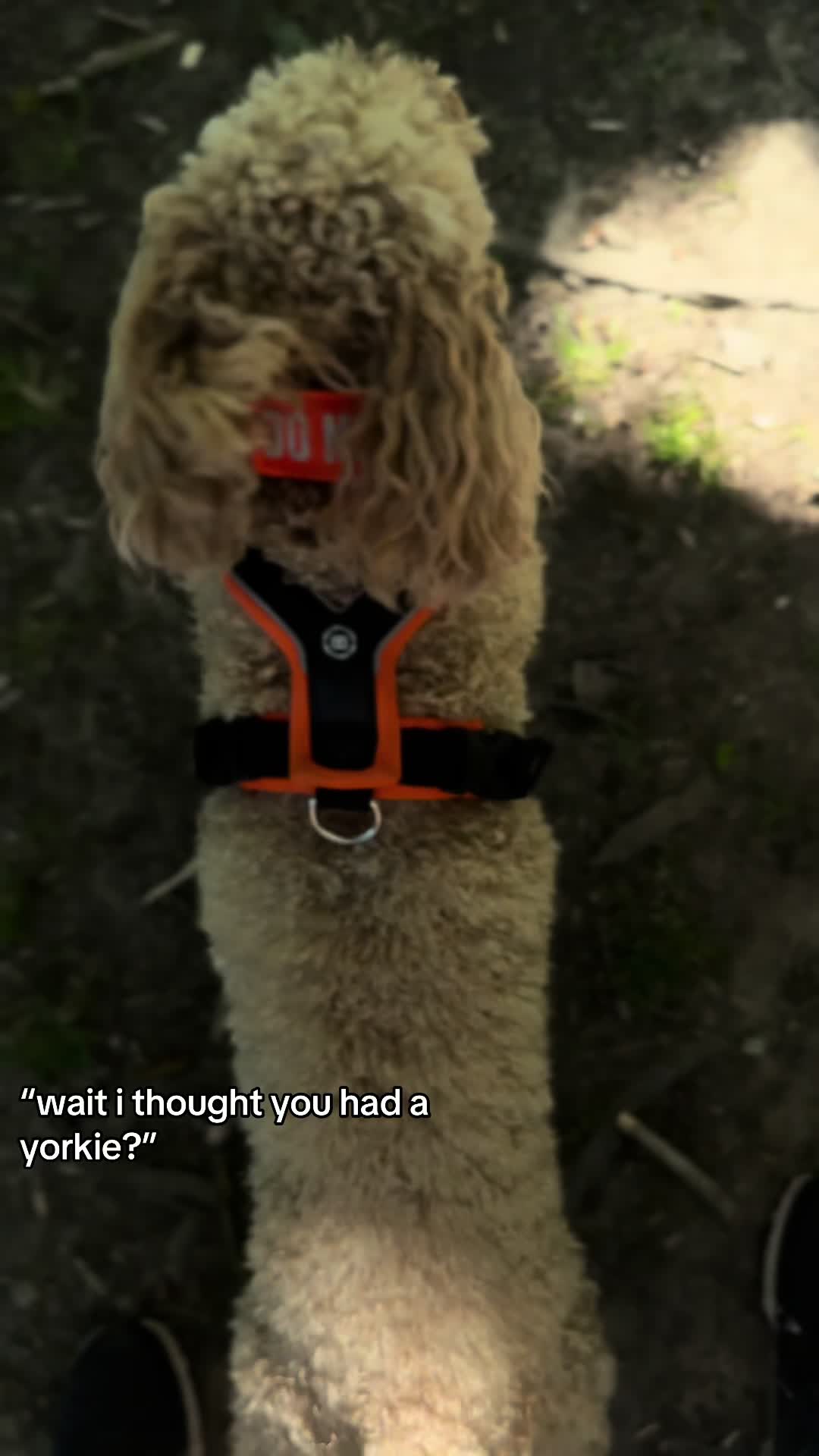 @Sarah