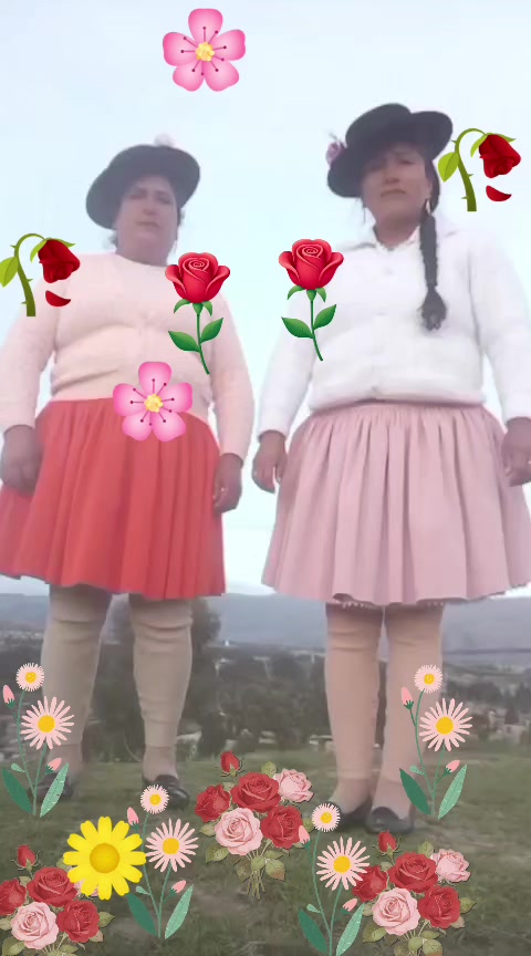 @Faustina Antezana flores
