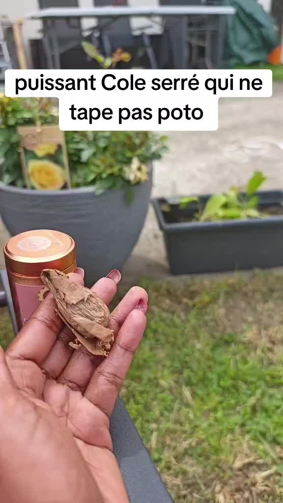 @miss love 🇨🇵