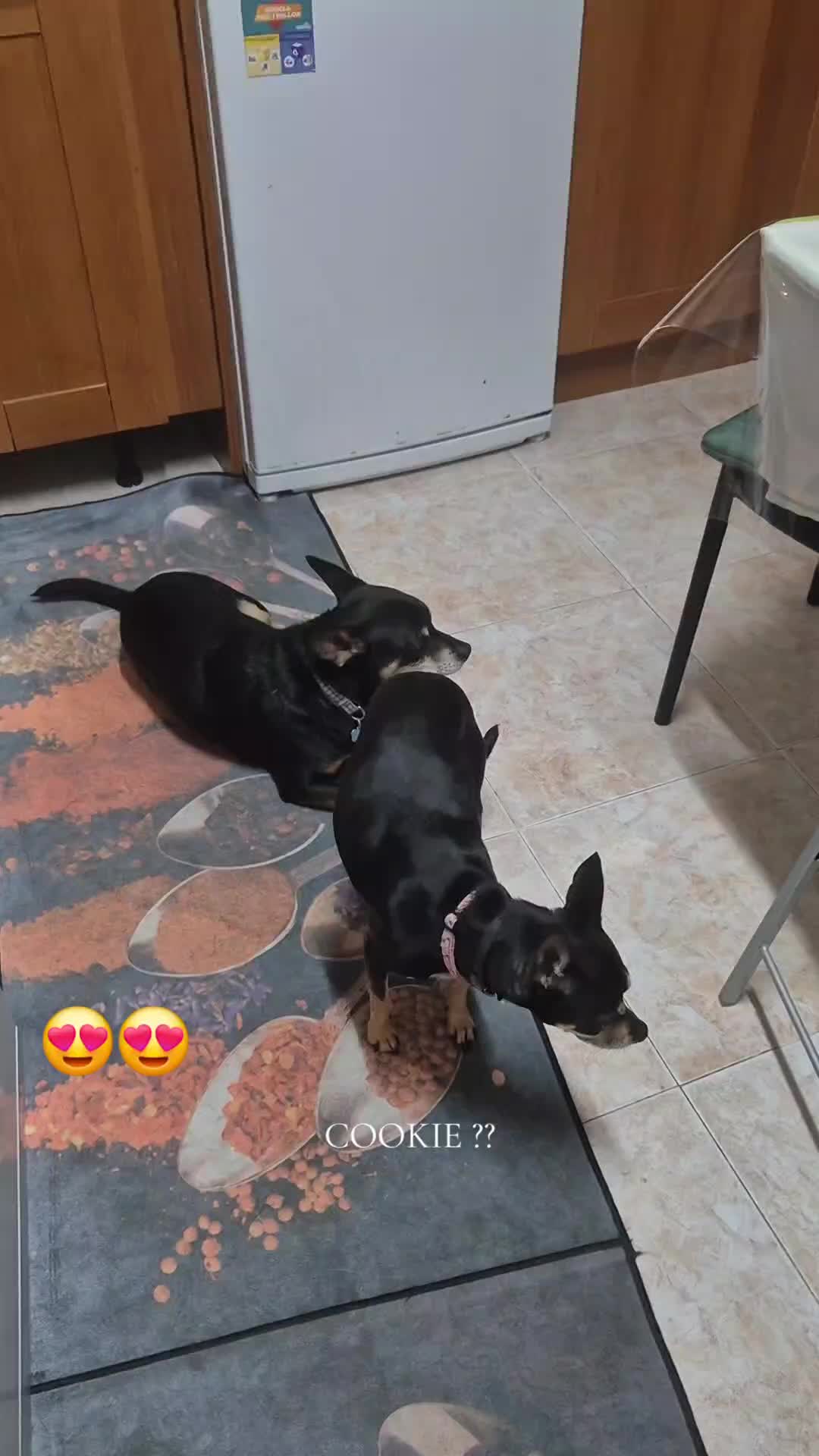 @AntoCM💕