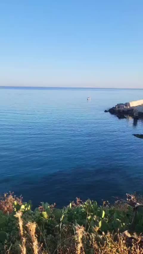 @Maria Grazia Palazzolo