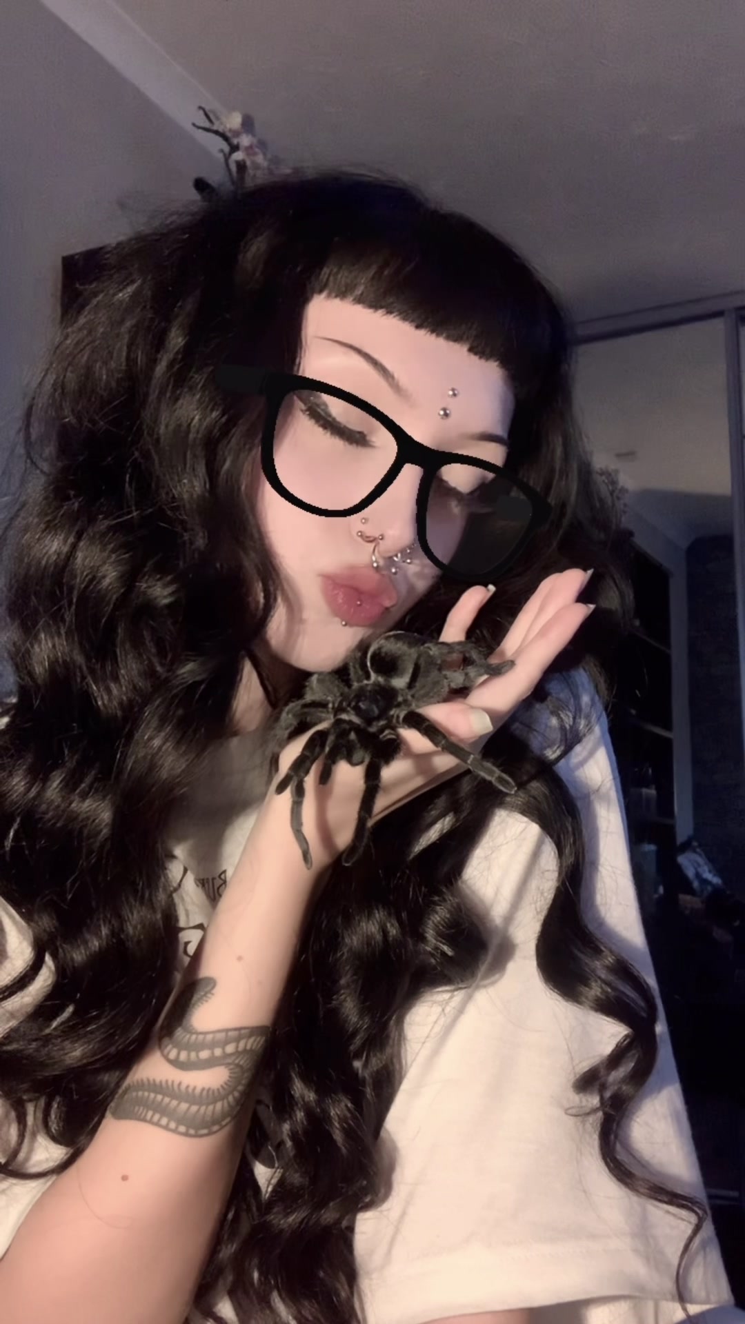@spectralfawn