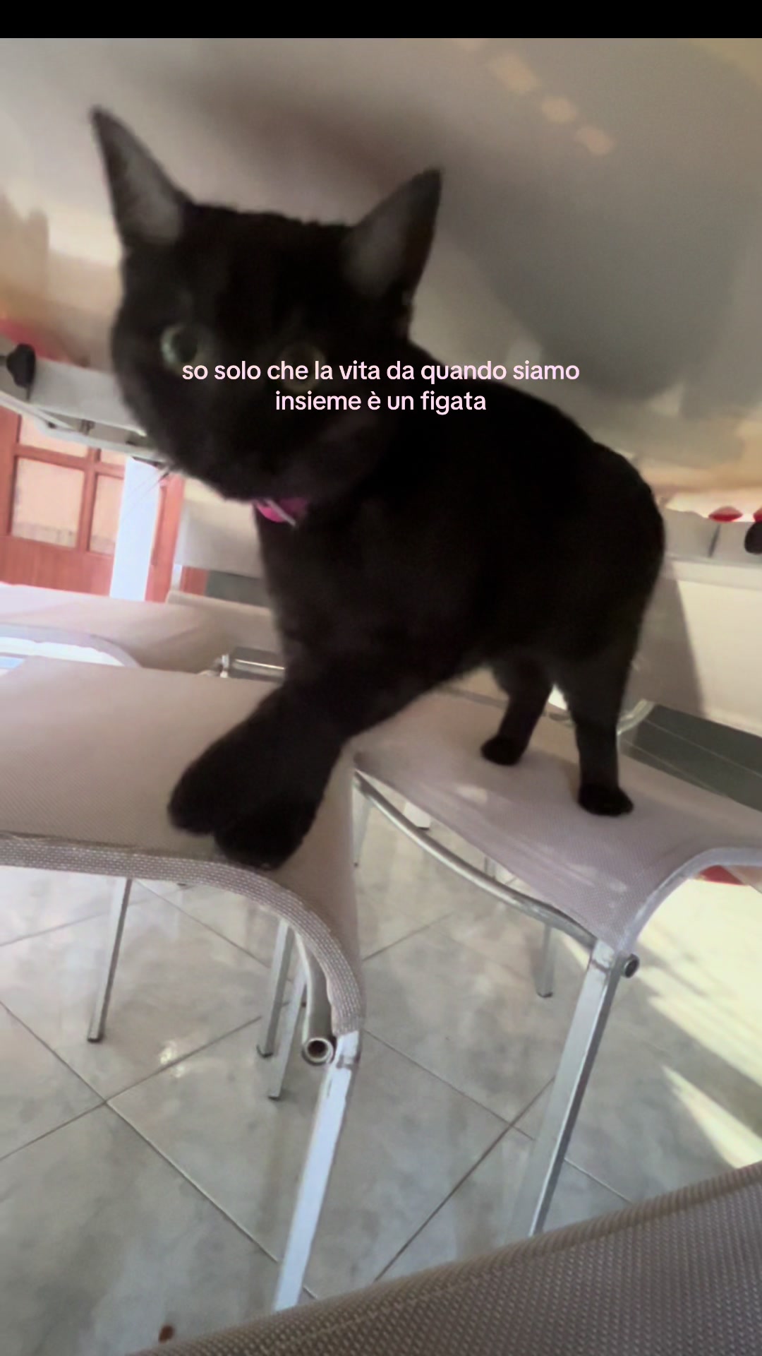 @⭐️francesca⭐️