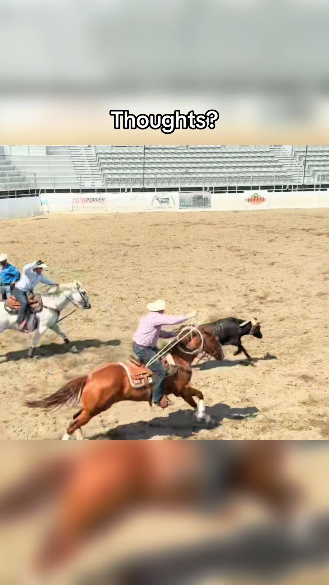 @Cactus Ropes
