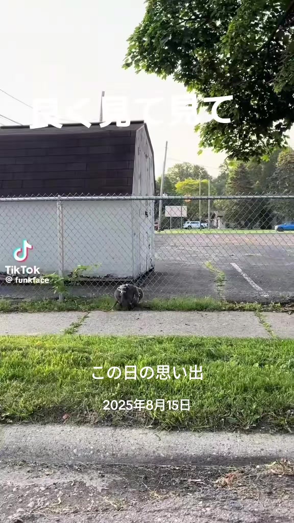 @ひろし❗️