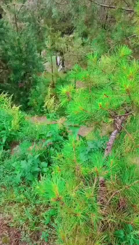 @Shahid  Durani