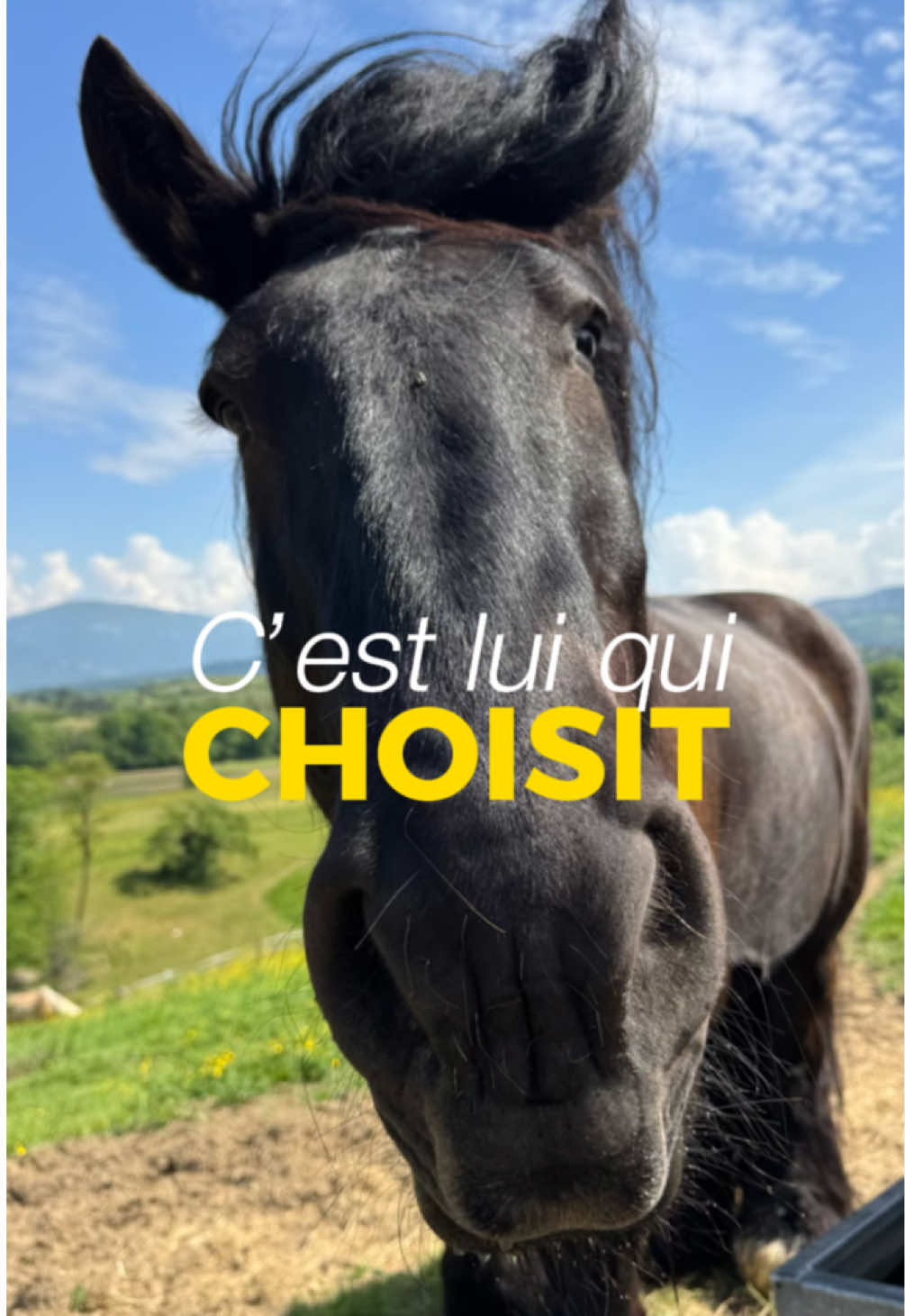 @Untraitdecheval