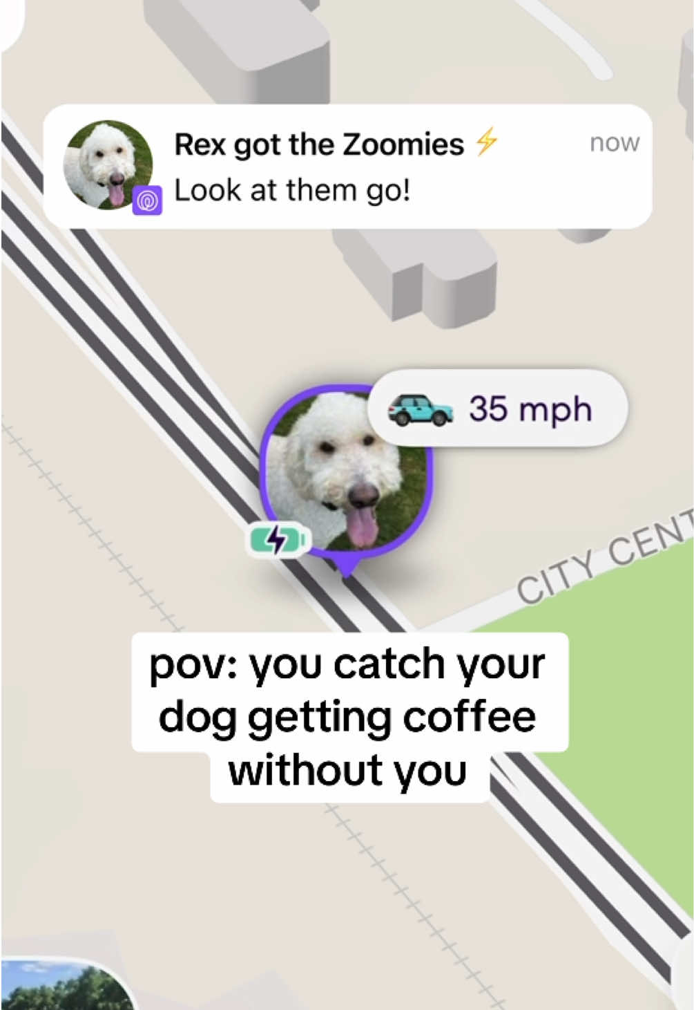 @Life360