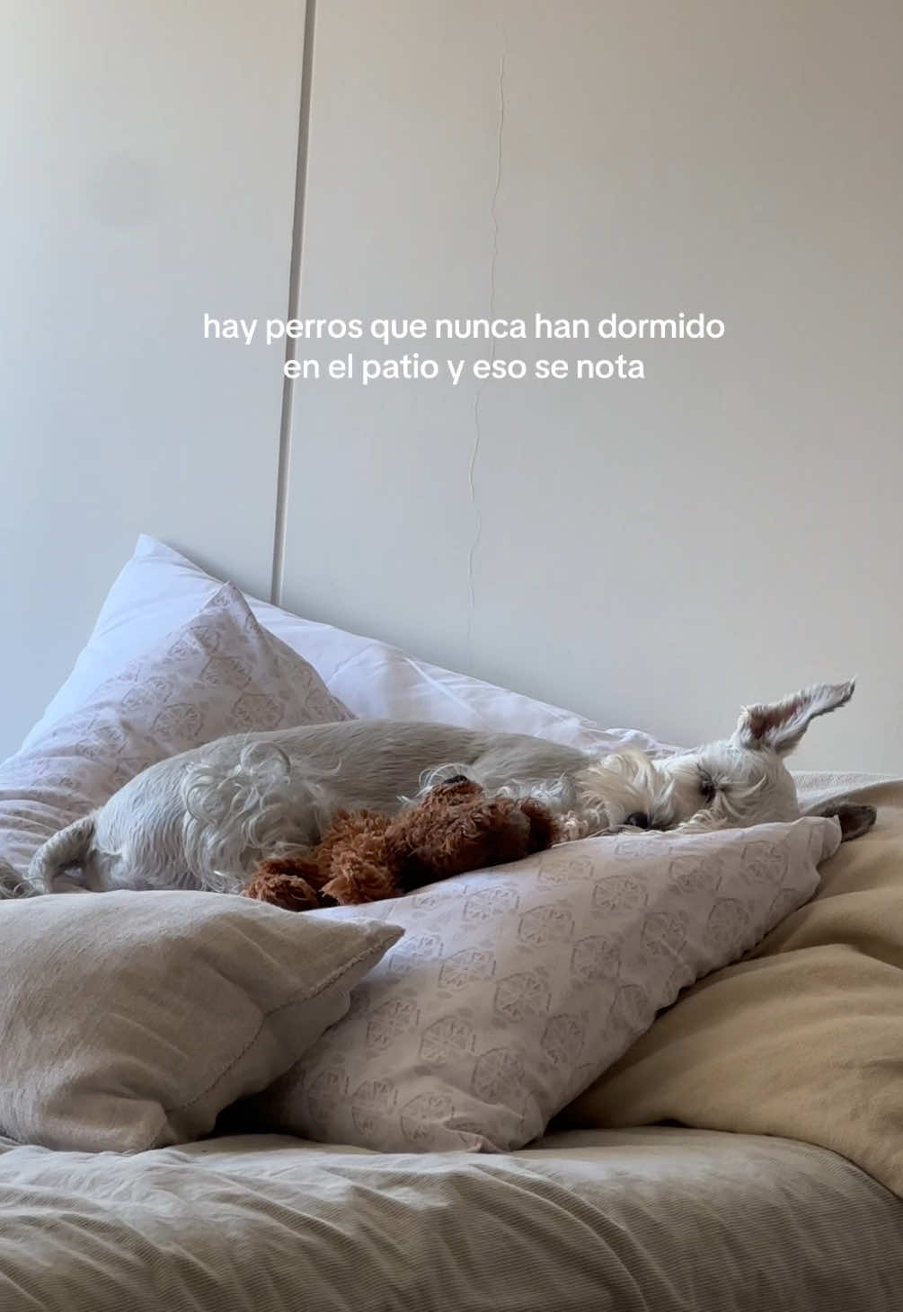 @Ángela