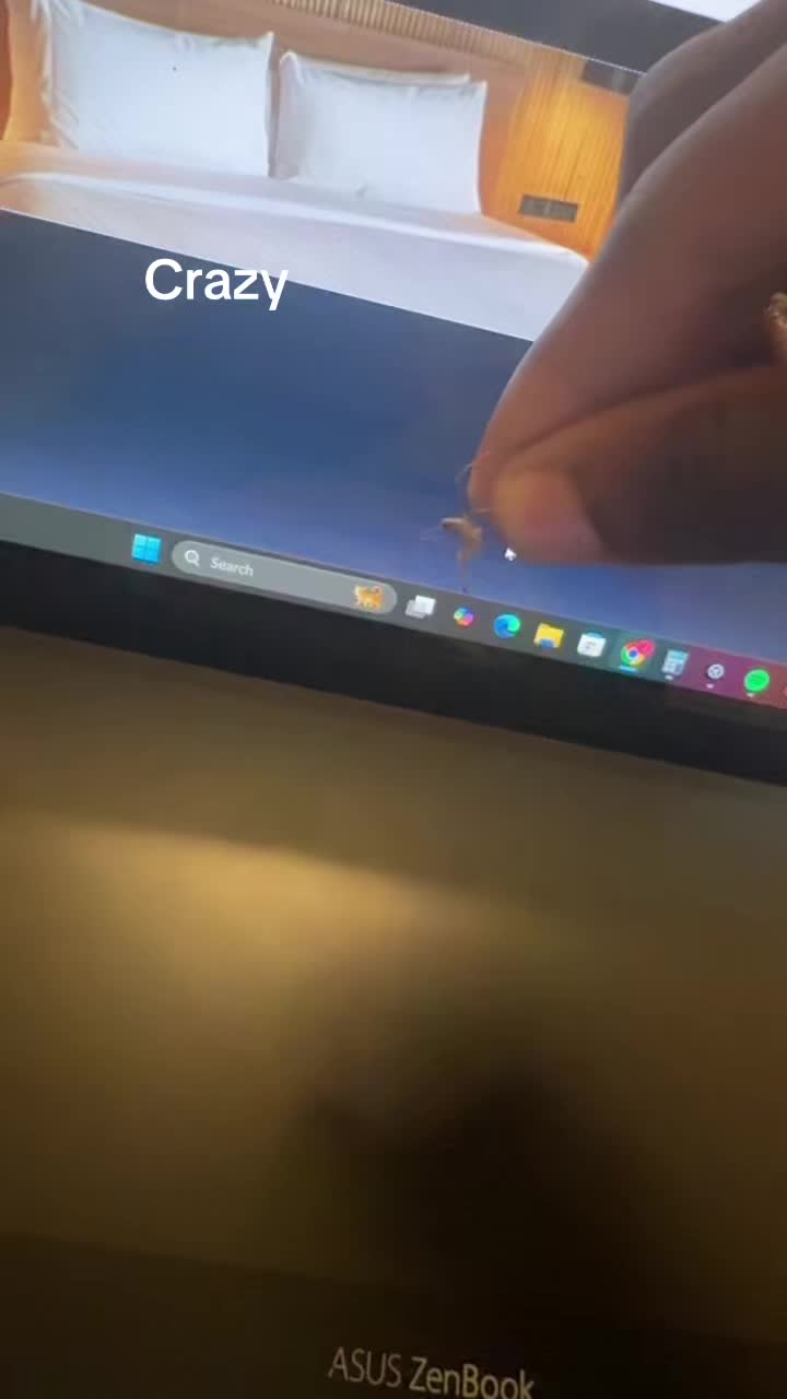 @Mr. RapidRepairs