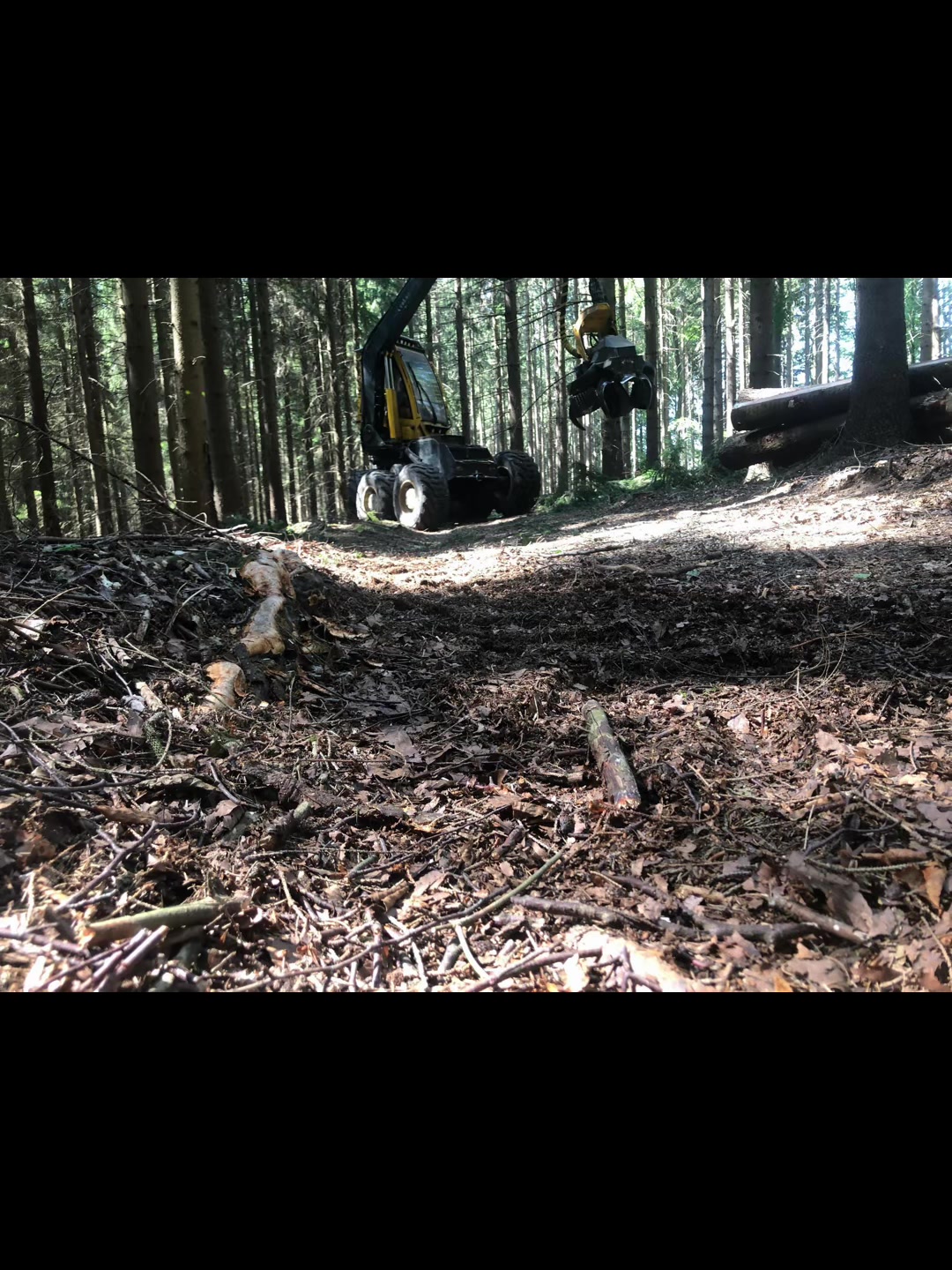 @🌲🌲Prosťě Fidla🤷&zwj;♂️🤷&zwj;♂️🌲🌲