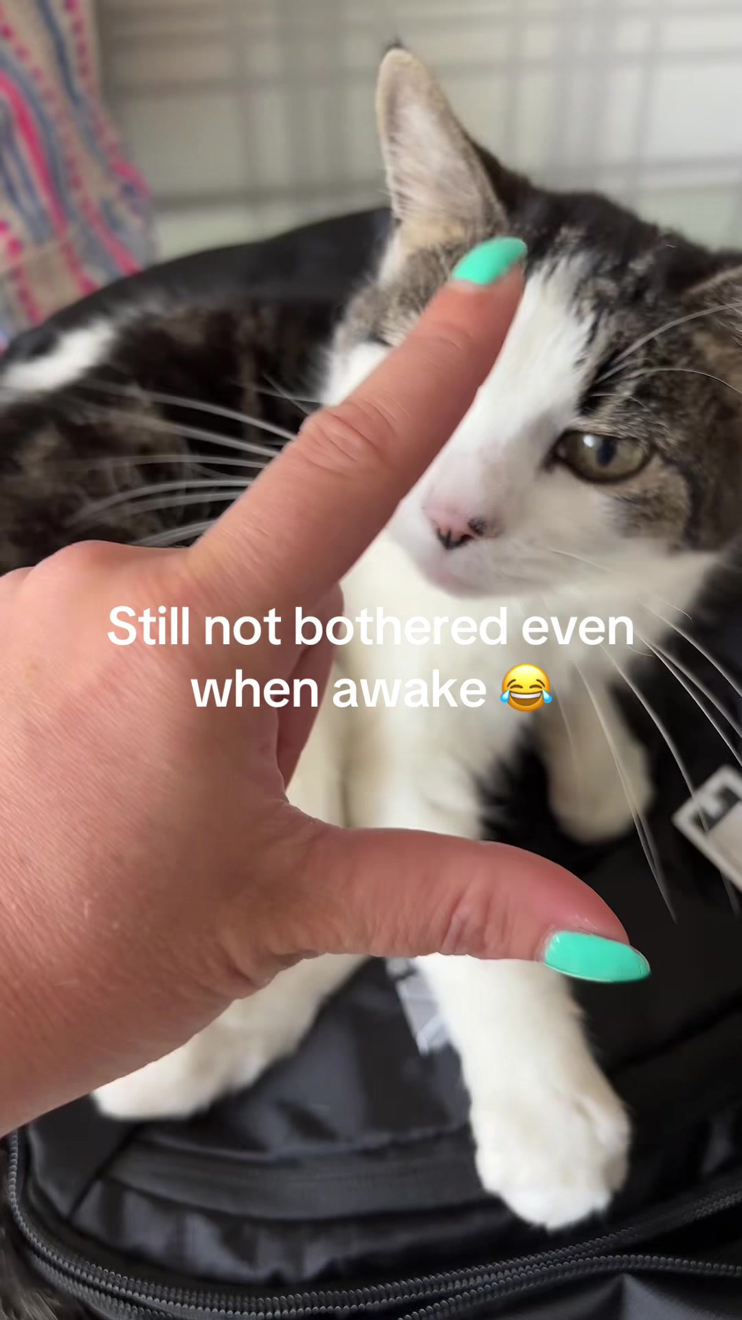 @Alana🧡