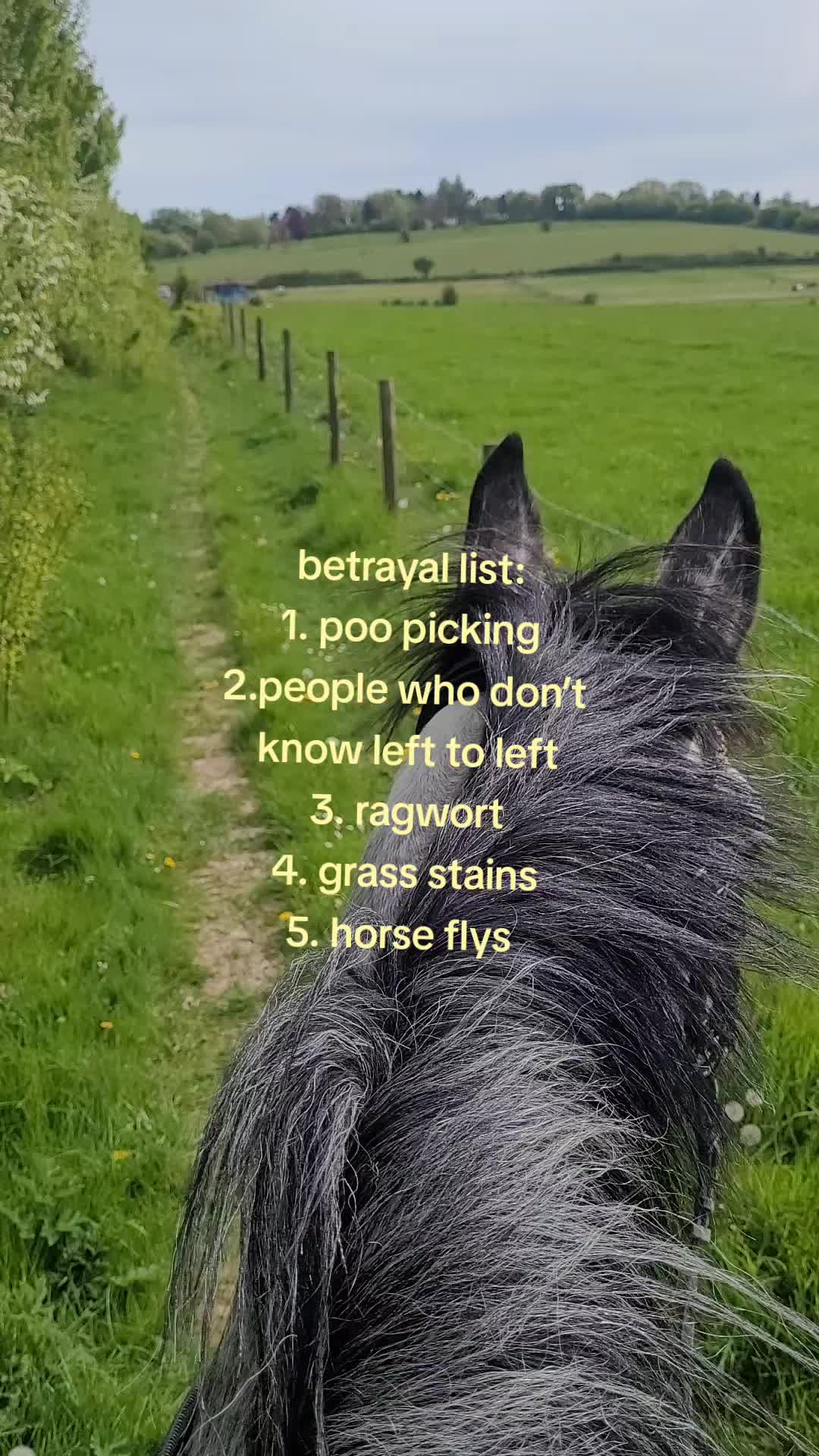 @Olivia 🤍
