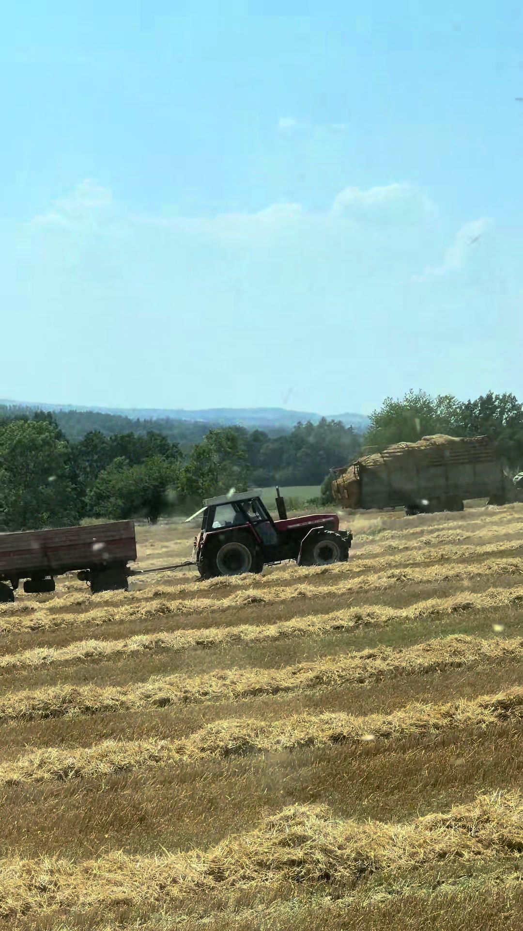 @MV Agro Videos