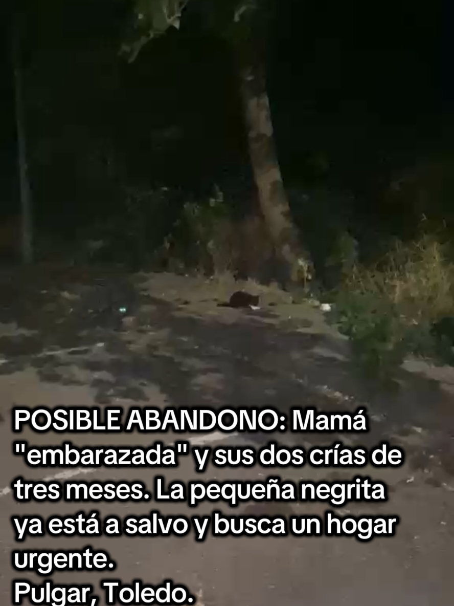@garritasespaciales