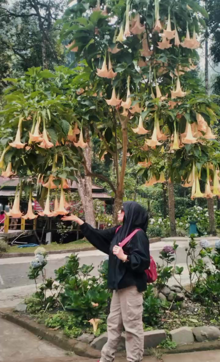 @๐๐ฟ๐๐๐๐๐๐๐๐๐