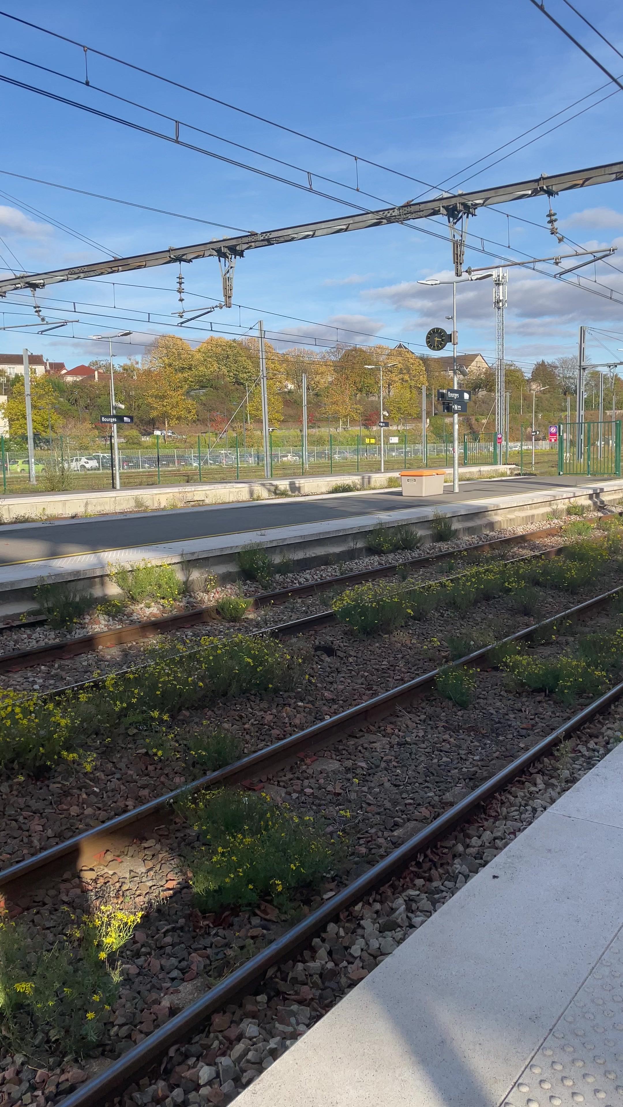 @Max 🚂