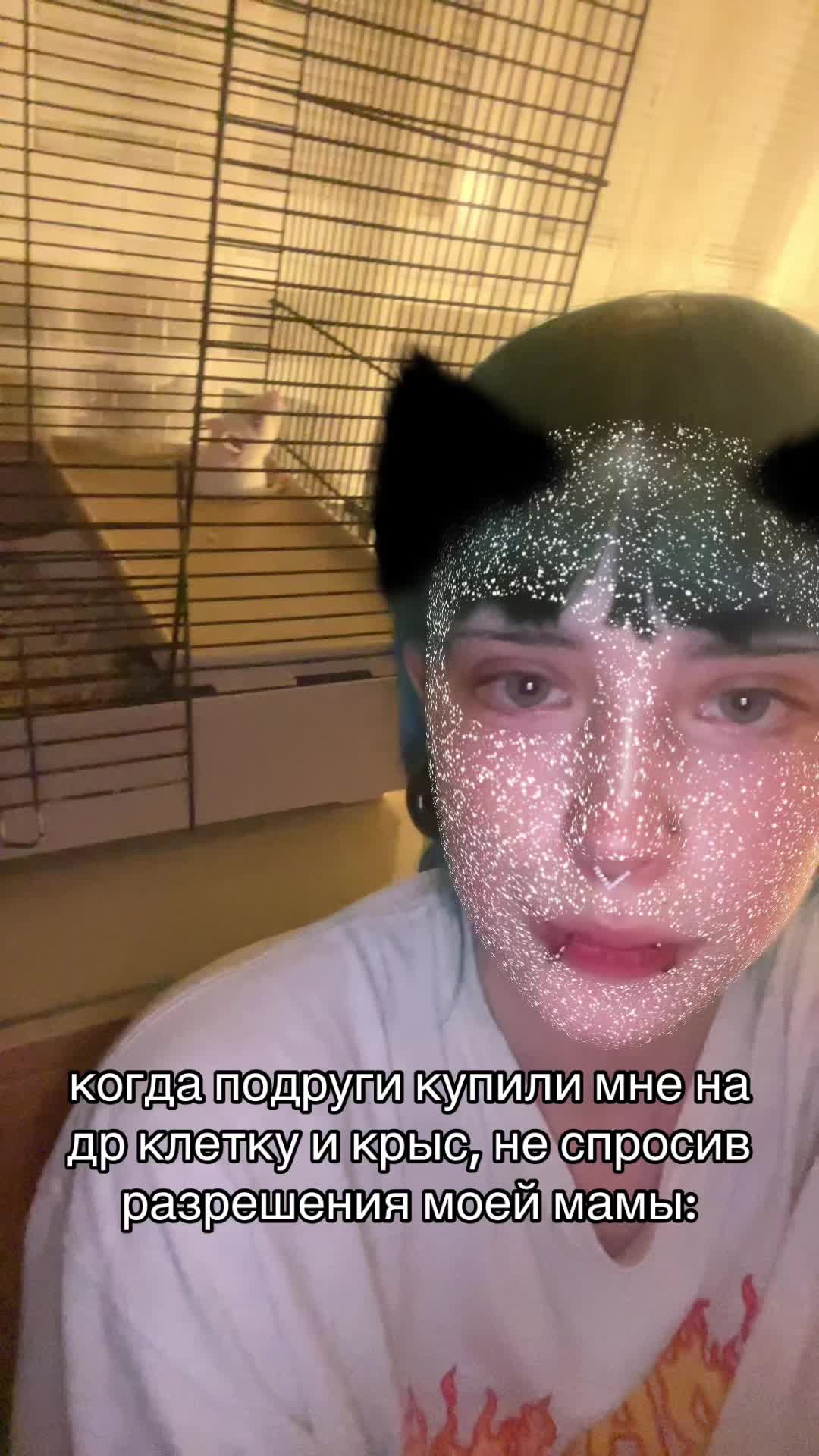 @けむしᯤ ♯『kemushi』🌱