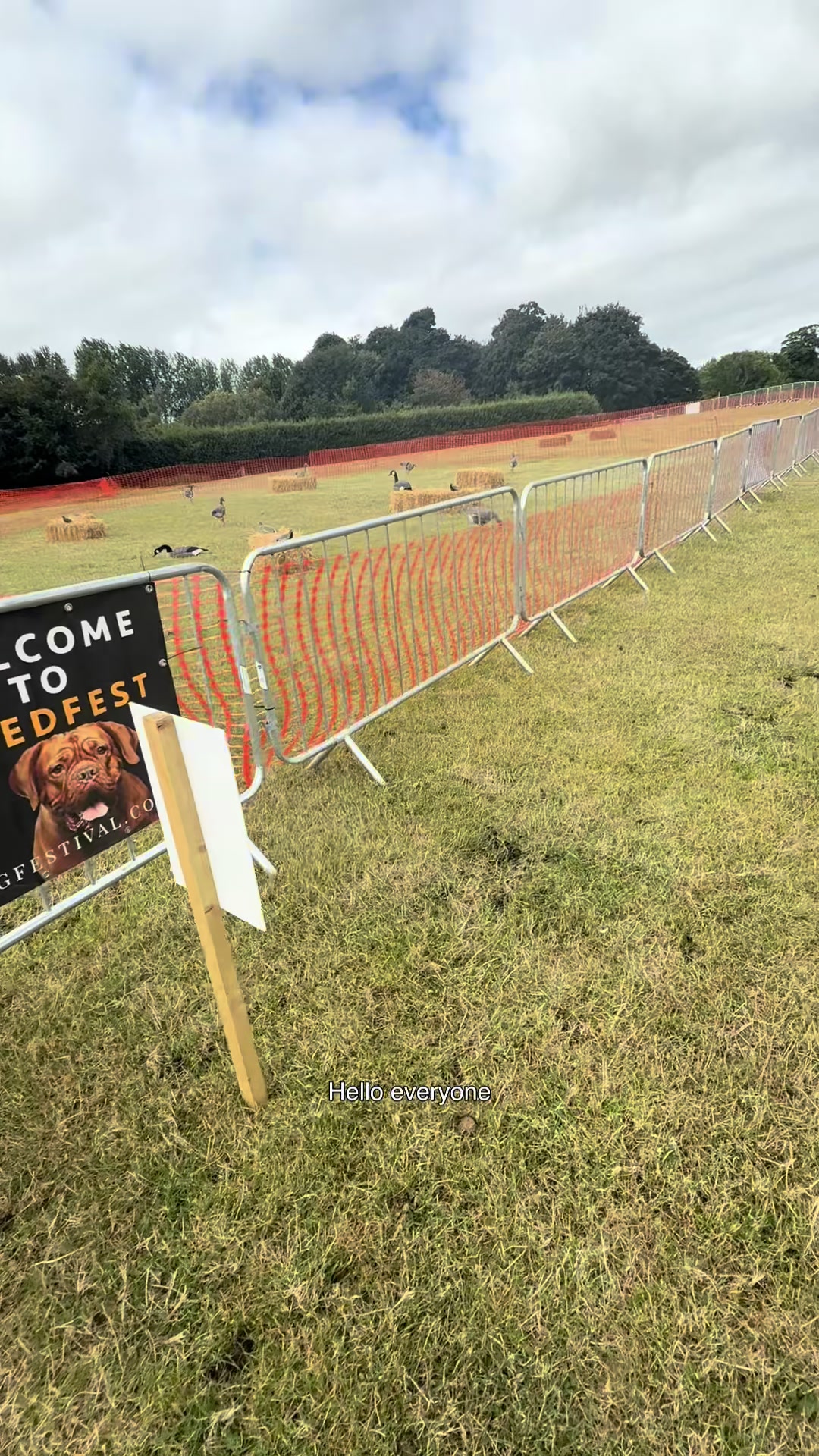 @northeastdogfestival